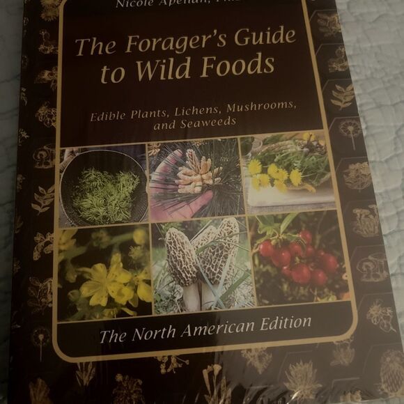The Forager's Guide to Wild Foods Book - Picture 2 of 4